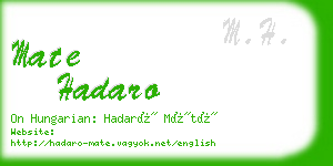 mate hadaro business card